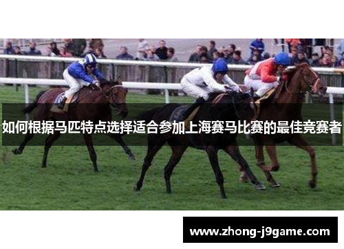 如何根据马匹特点选择适合参加上海赛马比赛的最佳竞赛者