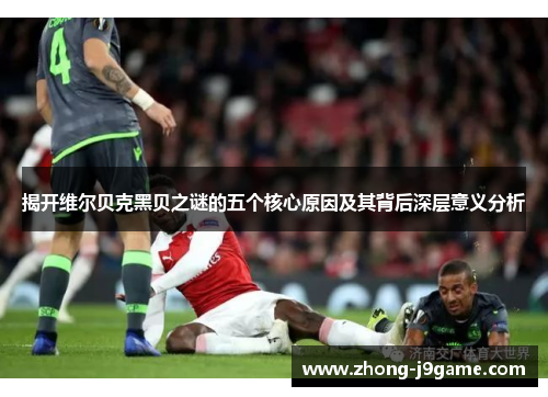 揭开维尔贝克黑贝之谜的五个核心原因及其背后深层意义分析